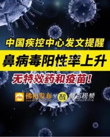 鼻病毒阳性率上升